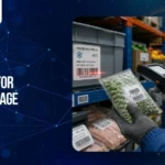 Worker scanning barcode labels on frozen food packages in a cold storage warehouse using a handheld barcode scanner.